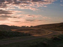 Morgenstemning-IMGP8440